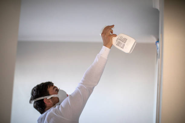 Best Home Mold Removal  in Old Bethpage, NY