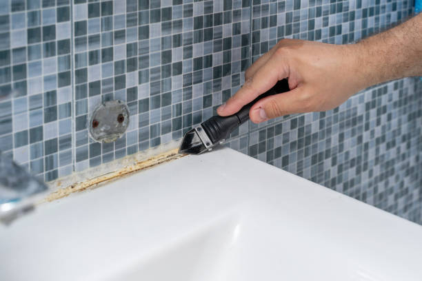 Best Residential Mold Removal  in Old Bethpage, NY