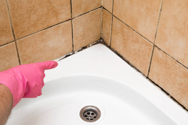 Best Emergency Mold Removal  in Old Bethpage, NY
